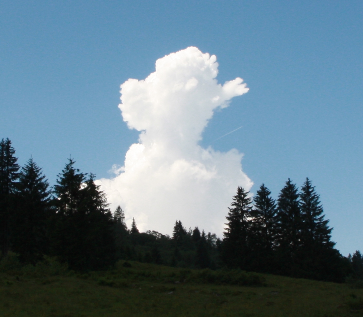 Beschrijving: Beschrijving: Beschrijving: Beschrijving: Beschrijving: Beschrijving: Beschrijving: Beschrijving: Beschrijving: Beschrijving: C:\Users\Keizer\Pictures\Kellenhuaen 2011\Fotoboek Kellenhusen\P1100864-2.jpg